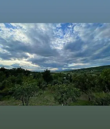 Vchkovi Katlanovo *